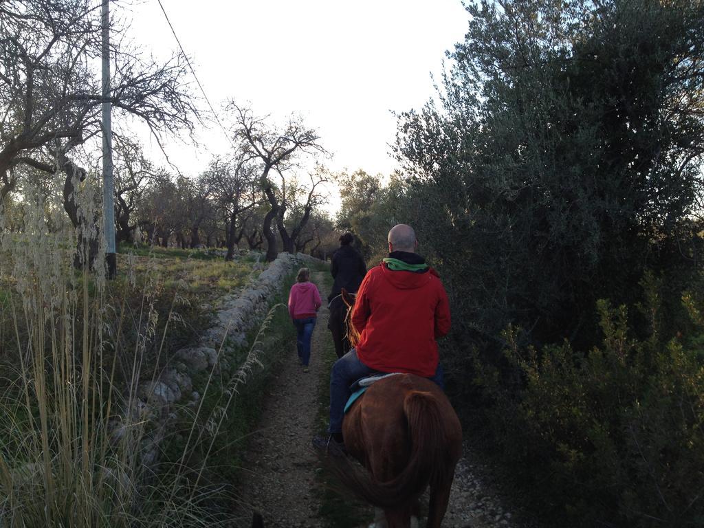 Agriturismo Vita E Natura Villa Noto Eksteriør billede