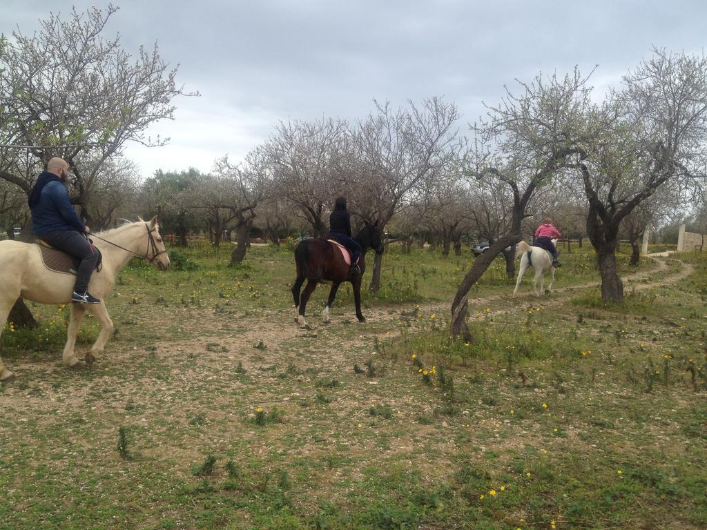 Agriturismo Vita E Natura Villa Noto Eksteriør billede