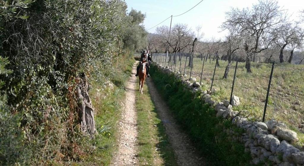Agriturismo Vita E Natura Villa Noto Eksteriør billede